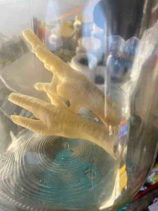Pata de pollo