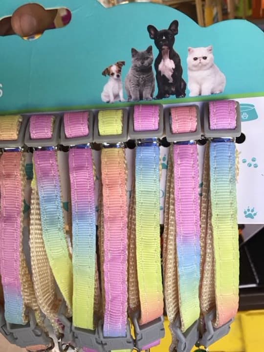 Collar pastel
