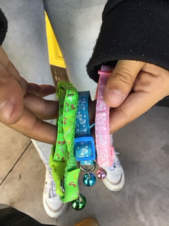 Collar mini