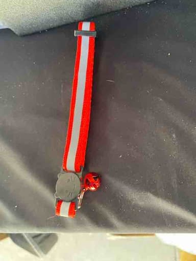 Collar broche
