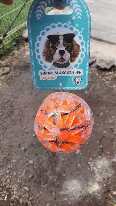 Pelota deporte