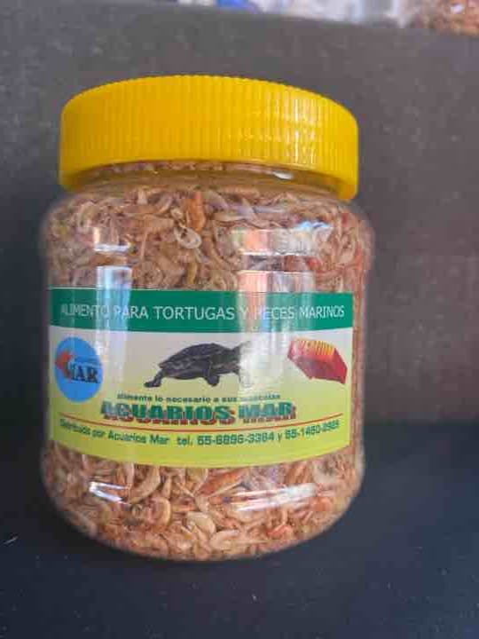 Camarón gde