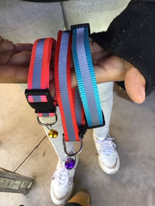 Collar reflejante