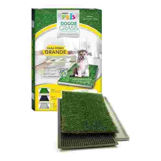 Pasto entrenador Grande