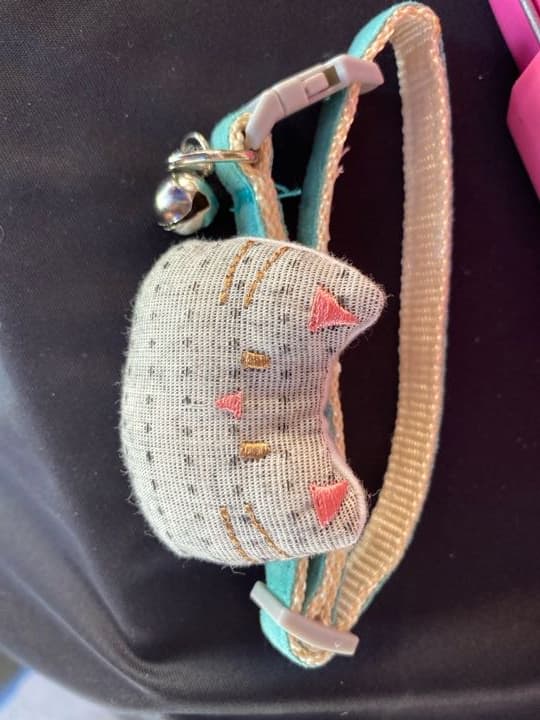 Collar con accesorio