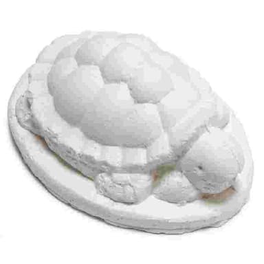 Calcio para tortuga