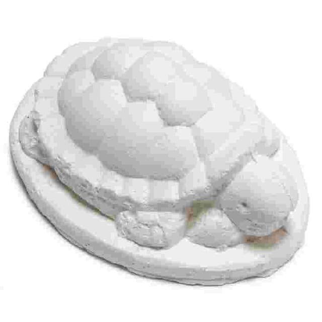 Calcio para tortuga