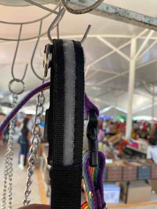 Collar Led